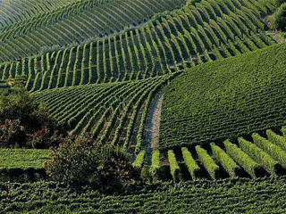 Omgeving pelgrimsreis Piemonte